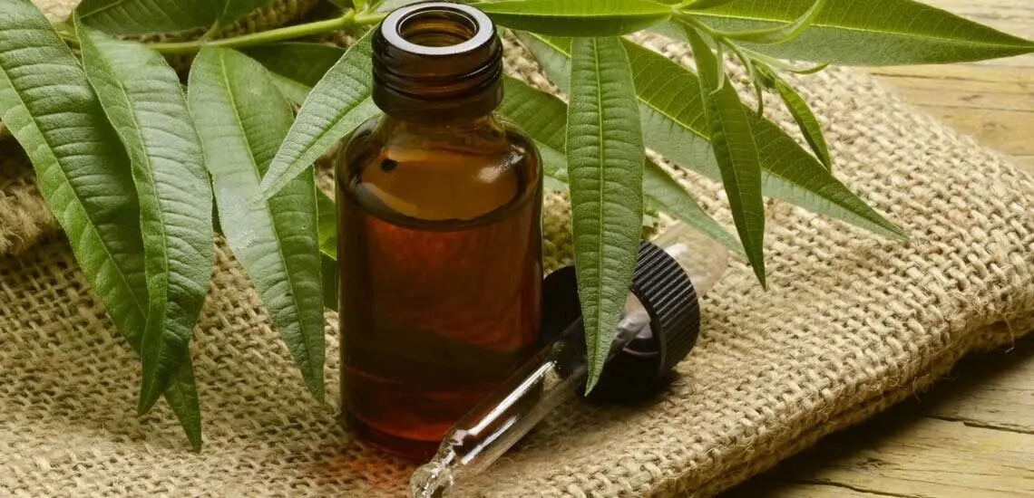 خواص شگفت‌انگیز یک روغن گیاهی برای پوست، مو و ناخن
