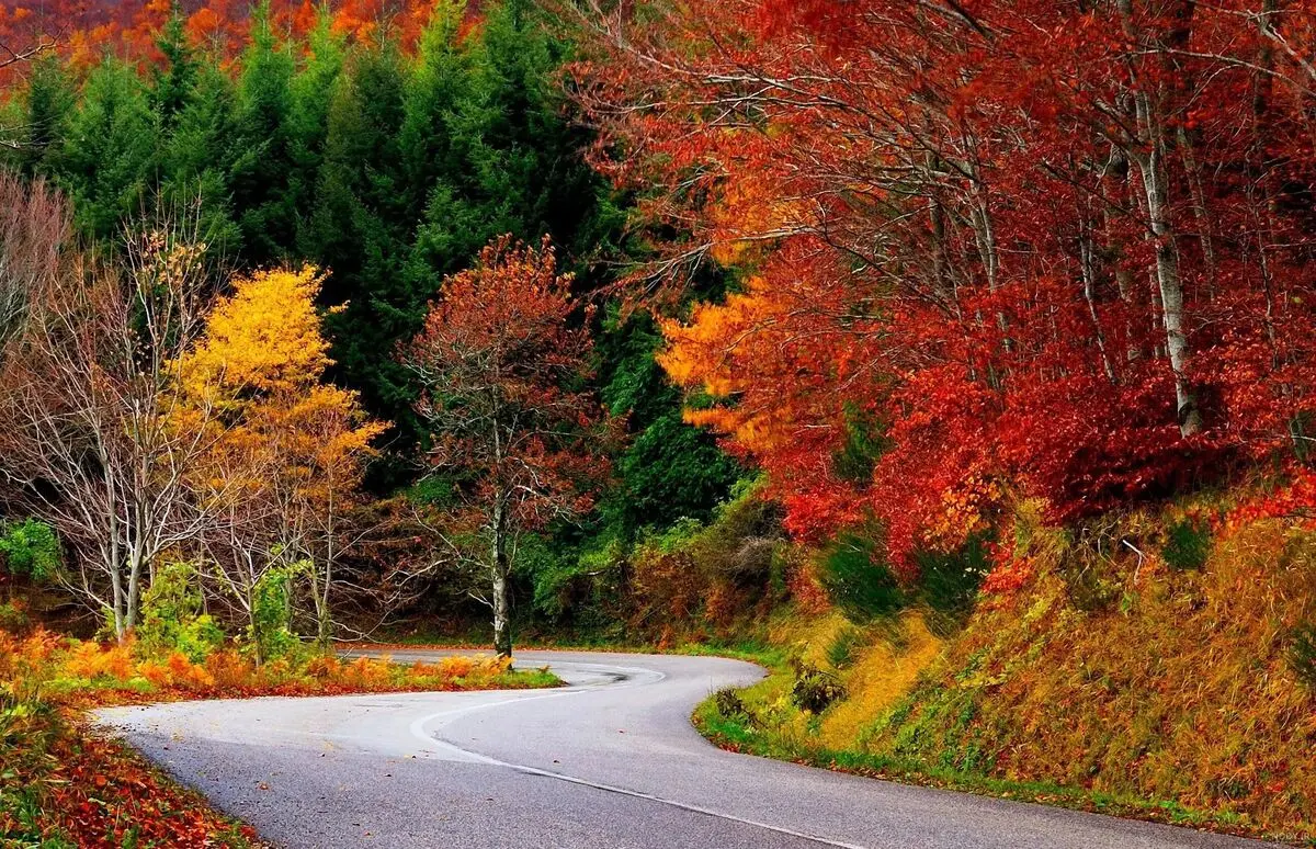 سفرهای کوتاه در پاییز زرد رنگ | در پاییز کجا مسافرت یک روزه برویم؟