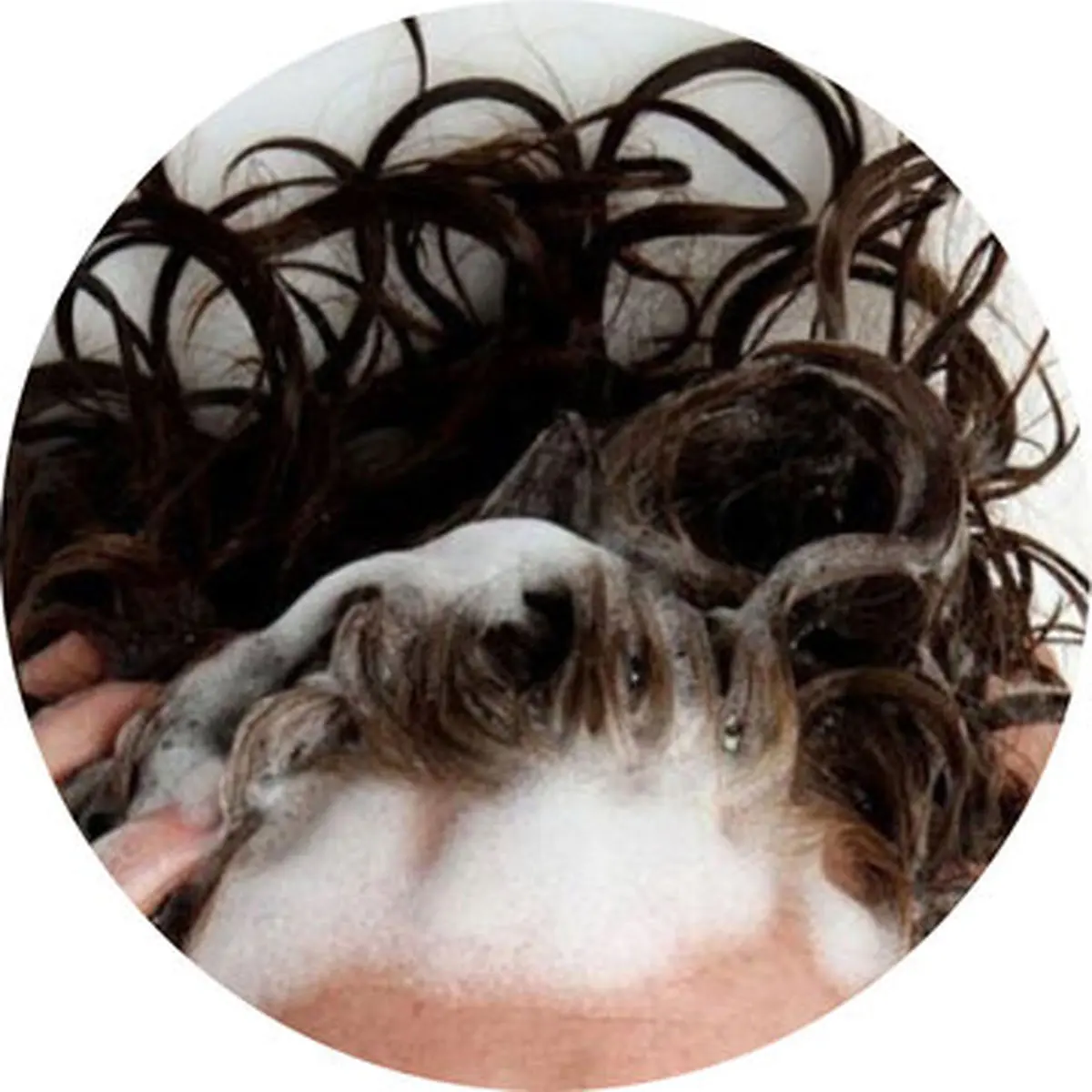 با موی خیس نخوابید؛ این همه مرض در انتظارتان است