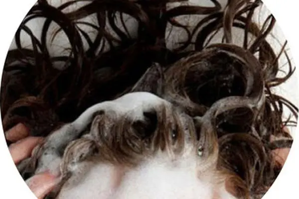 با موی خیس نخوابید؛ این همه مرض در انتظارتان است