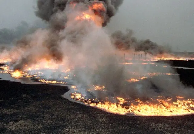 آیا جنگ‌ها، آخرین میخ بر تابوت طبیعت خواهند بود؟
