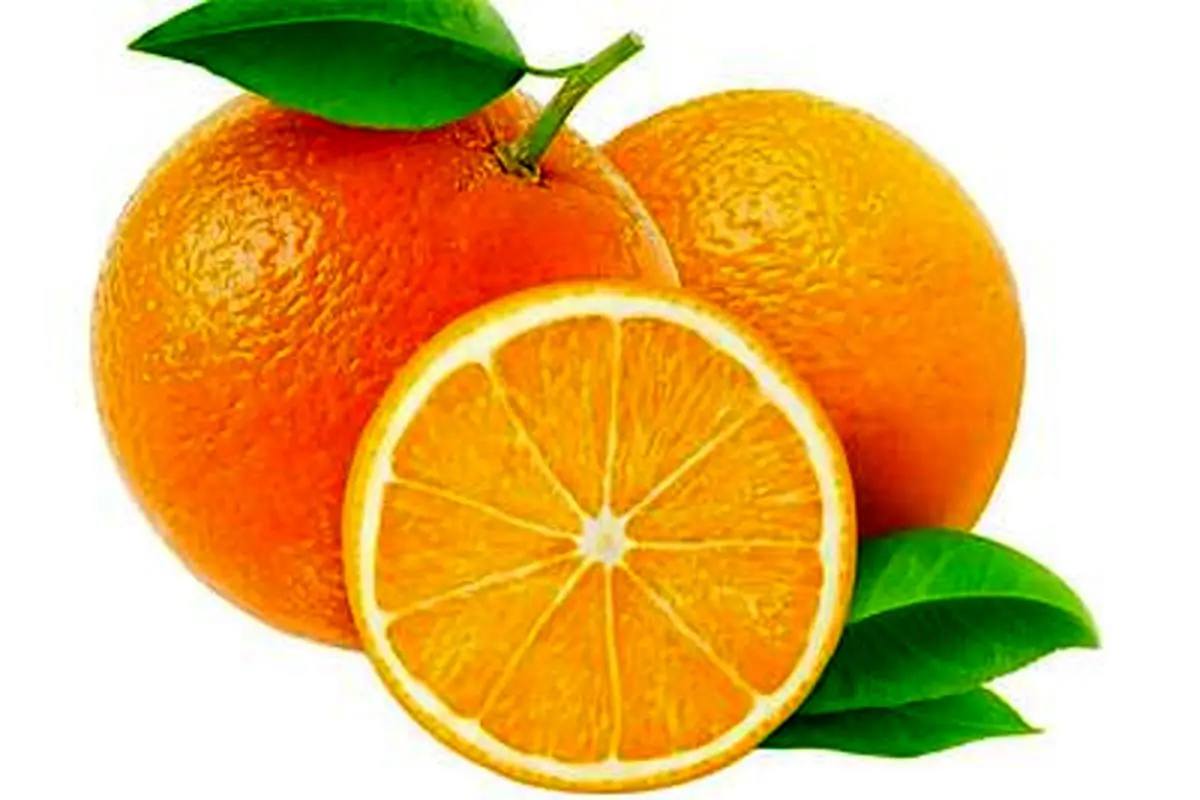 چرا خرید پرتقال ایرانی در آبان ۱۴۰۴ ممنوع شد؟ | بررسی علت و پیامدها
