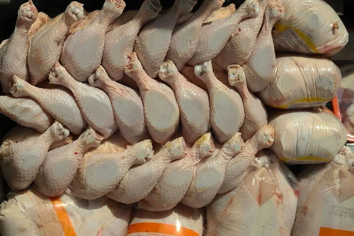 اعلام جدیدترین قیمت مرغ امروز ۳۰ دی ۱۴۰۴ | قیمت مرغ چقدر پایین آمد؟
