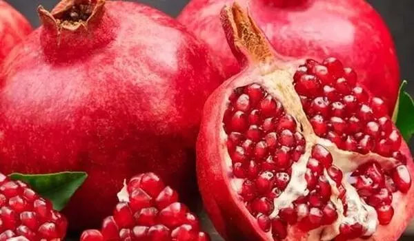 بخشی از انار که همه دور می‌ریزند؛ پژوهشگران از خواص آن می‌گویند