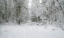 بارش برف و باران در کوهستان‌های کشور