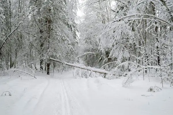 پیش بینی وضعیت هوا در روزهای آینده | سامانه بارشی جدید وارد کشور می شود