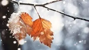 کرجی‌ها از این تاریخ منتظر بارش برف باشند
