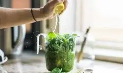 وقتی تغذیه سالم به یک عادت ناسالم تبدیل می‌شود؛ چگونه وسواس غذایی سلامت روان را تهدید می‌کند؟