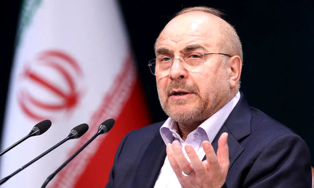 رییس مجلس: دولت باید هرچه سریع‌تر از بنگاه‌داری خارج شود