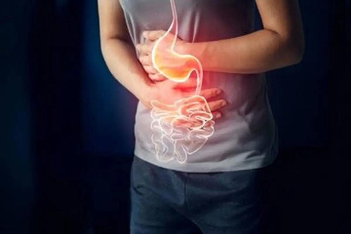 این ساندویچ‌ها را از بیرون نخرید