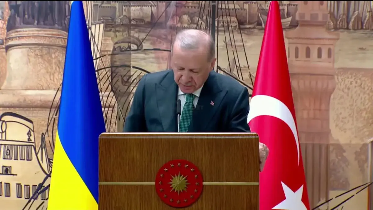 اردوغان: حمله به کشتی‌های غیرنظامی در دریای سیاه را به هیچ وجه نمی‌پذیریم