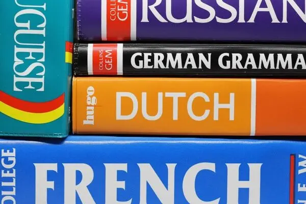 یادگیری زبان دوم می‌تواند روند پیری مغز را تا ۱۳ سال به تأخیر بیندازد؛ یافته جدید دانشمندان
