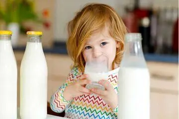 ۷ دلیل برای نوشیدن یک فنجان شیر زردچوبه قبل از خواب