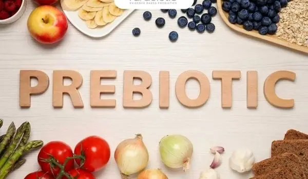 چرا پری‌بیوتیک‌ها برای مغز مهم هستند؟ | این مکمل‌ها چه مدت باید مصرف شوند؟