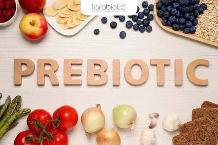 چرا پری‌بیوتیک‌ها برای مغز مهم هستند؟ | این مکمل‌ها چه مدت باید مصرف شوند؟