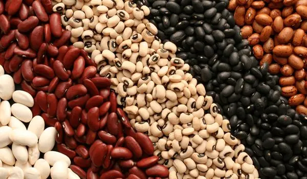 افزایش قیمت حبوبات در راه است؟ | قیمت هر کیلو لوبیا چیتی چند؟