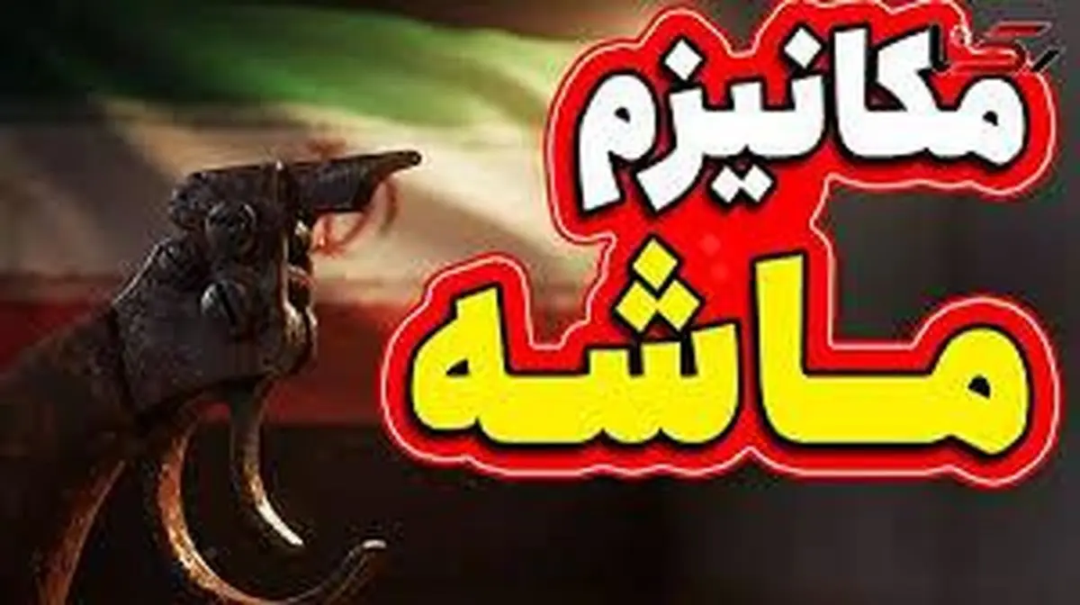 کسانی که مکانیسم ماشه را تفنگ بی خشاب می نامند، کاسبان تحریم و خائن به ملت اند | این همه اصرار برای بازگشت تحریم ها چیست؟