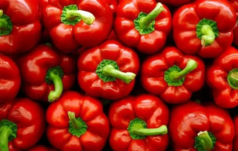 معجزۀ فلفل دلمه‌ای در تامین ویتامین C
