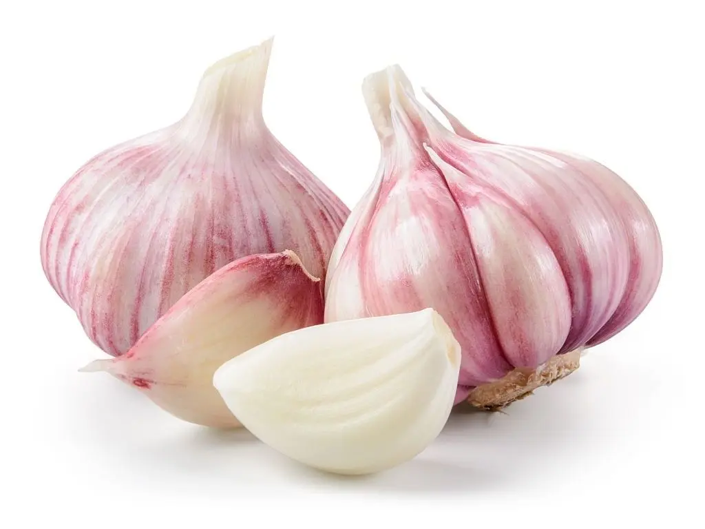 اگر هر روز سیر بخوریم چه اتفاقی برای سلامتی‌مان می‌افتد؟