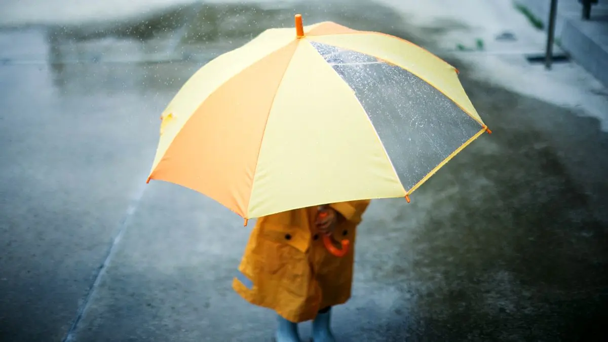 وضعیت هوای فردا بوشهر چهارشنبه ۱۵ بهمن ۱۴۰۴ | پیش بینی آب و هوای بوشهر در ۲۴ ساعت آینده + هواشناسی بوشهر