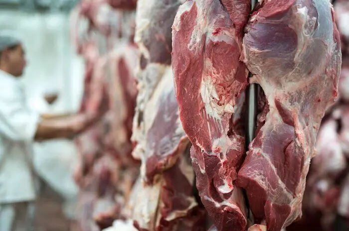 هشدار؛ گوشت تازه ذبح شده نخورید