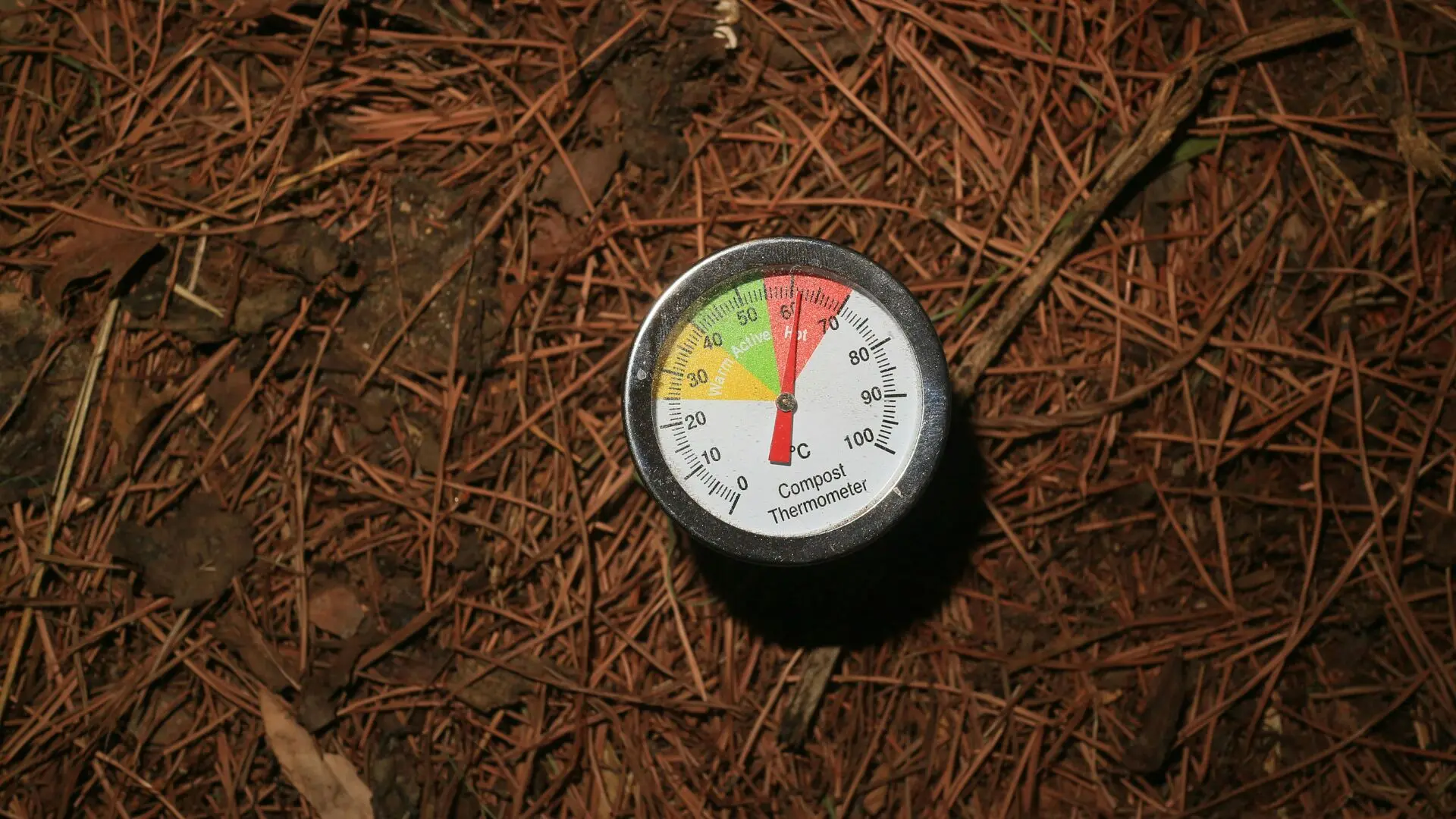 وضعیت هوای فردا کرمانشاه چهارشنبه ۲۱ مرداد ۱۴۰۵ | پیش بینی آب و هوا کرمانشاه در ۲۴ ساعت آینده + هواشناسی کرمانشاه