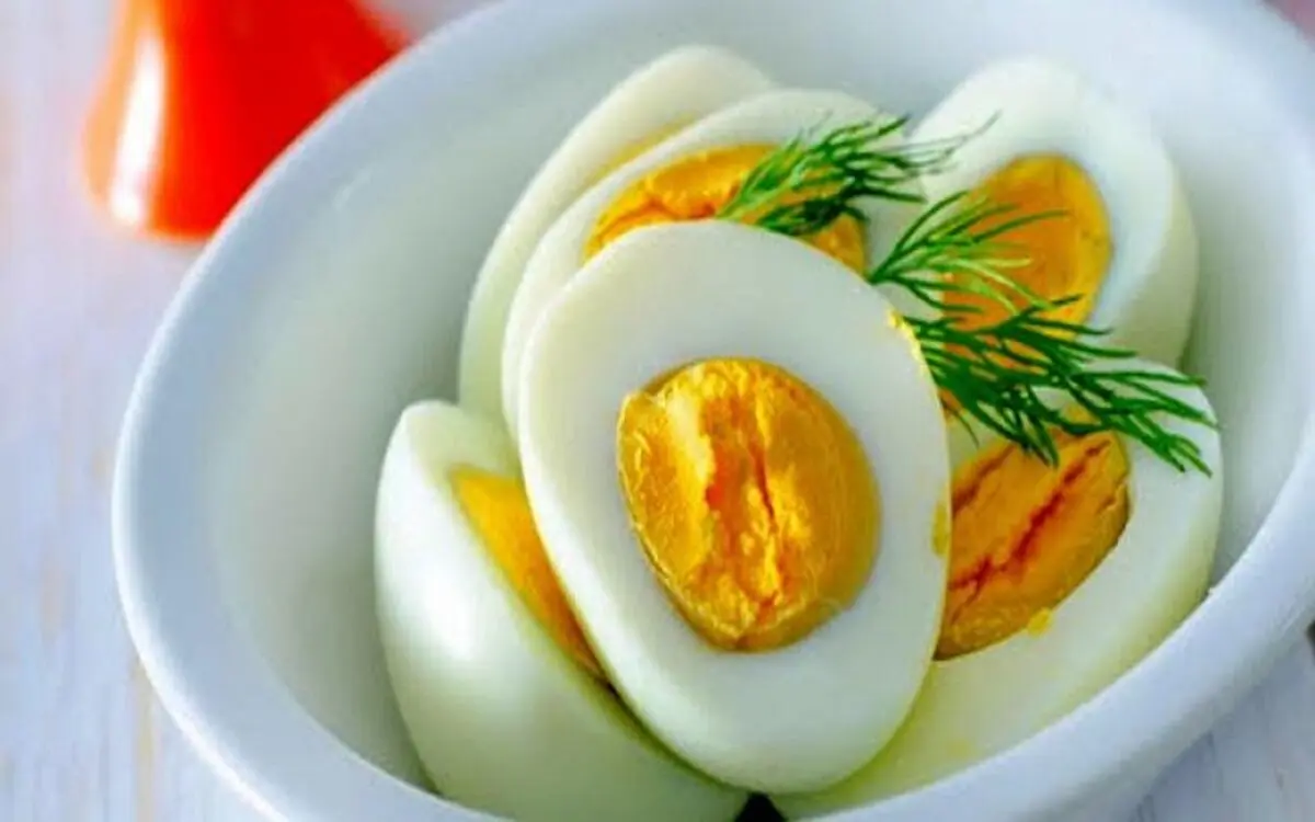تخم مرغ یکی از بهترین غذاهای دنیا است
