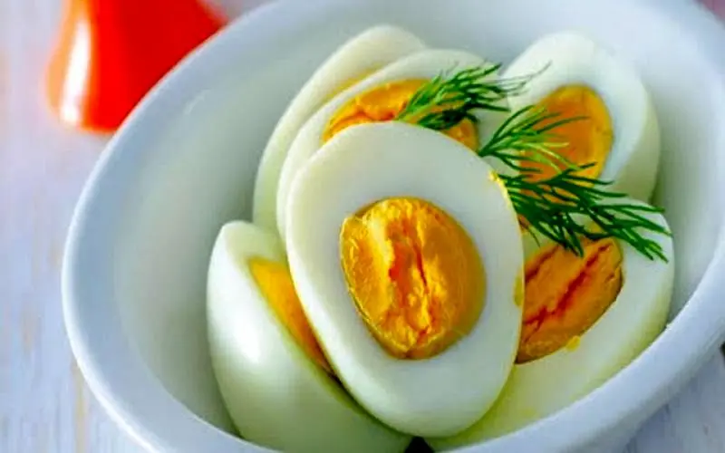 تخم مرغ یکی از بهترین غذاهای دنیا است
