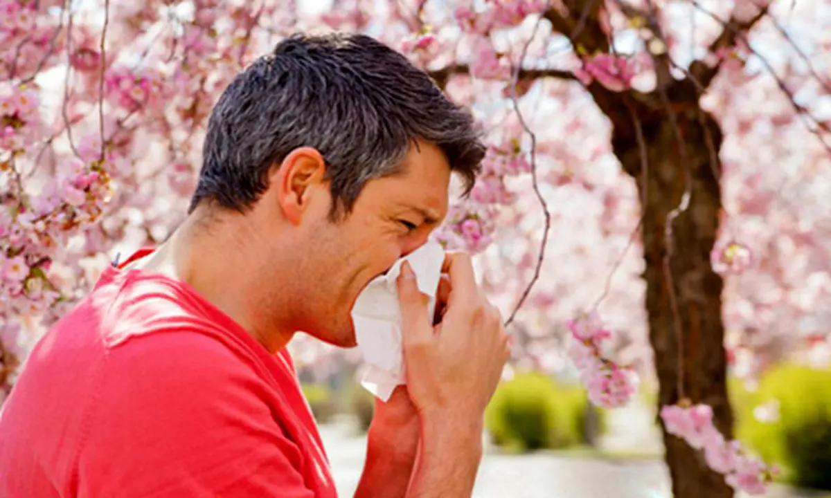 چگونه تفاوت میان آلرژی و سرماخوردگی را تشخیص دهیم؟