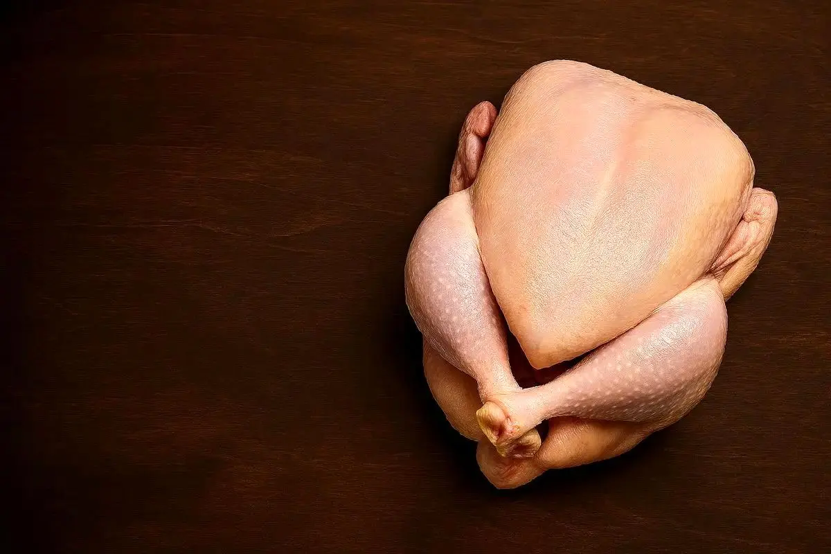 مرغ ۱۶۰ هزار تومانی: علت گرانی نهاده‌های دامی فاش شد!