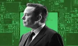ایلان ماسک: پول در سال ۲۰۳۶ دیگر اهمیتی نخواهد داشت