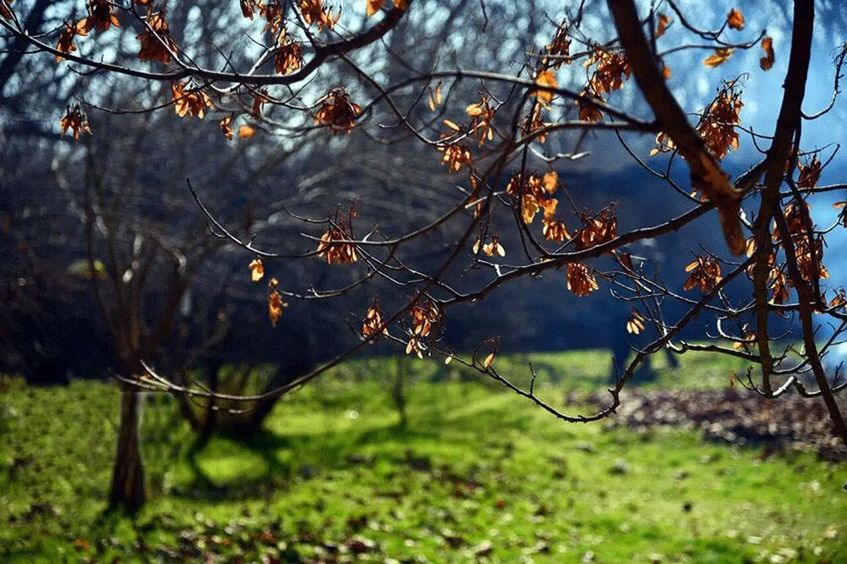 پیش بینی هواشناسی فارس و شیراز در ۲۴ ساعت آینده + وضعیت هوای استان فارس فردا پنجشنبه ۱۱ بهمن ۱۴۰۳