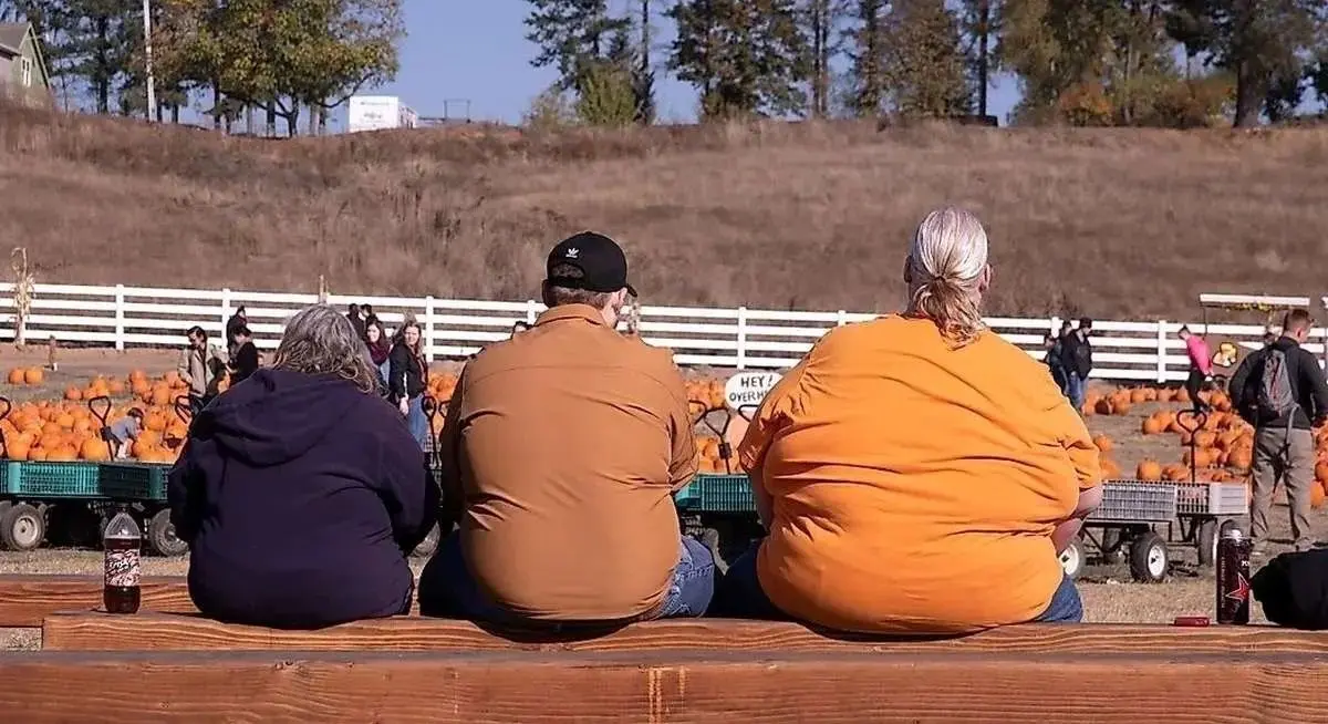 تیپ بدنی شما چیست؟