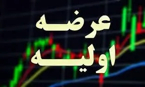 عرضه اولیه اروند؛ چشم‌انداز سود و نقاط قوت و ضعف این پتروشیمی