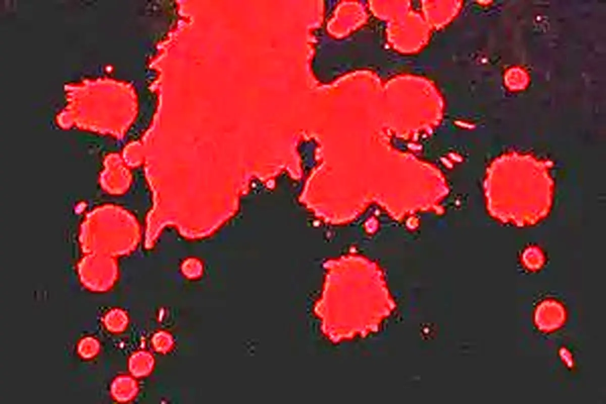 مادرکشی فجیع در جنوب تهران | همسایه‌ها با صدای دلخراش شوکه شدند