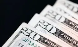 تازه ترین قیمت دلار در بازار آزاد امروز یکشنبه ۱۱ آبان ۱۴۰۴