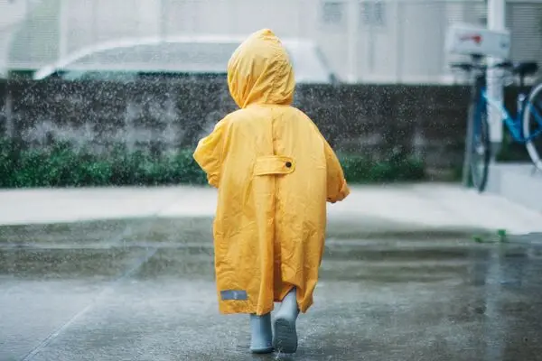 وضعیت هوای فردا گیلان شنبه ۲۴ مرداد ۱۴۰۵ | پیش بینی آب و هوا گیلان در ۲۴ ساعت آینده + هواشناسی گیلان
