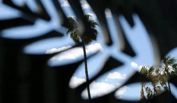 کن ۲۰۲۶ در راه است؛ از اصغر فرهادی تا پدرو آلمودوار، این فیلم‌ها شانس انفجار روی فرش قرمز را دارند