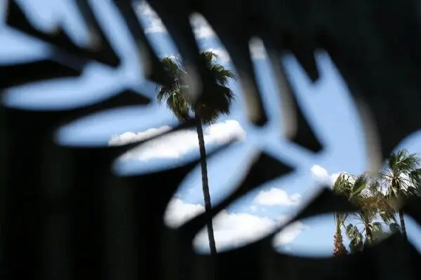 کن ۲۰۲۶ در راه است؛ از اصغر فرهادی تا پدرو آلمودوار، این فیلم‌ها شانس انفجار روی فرش قرمز را دارند