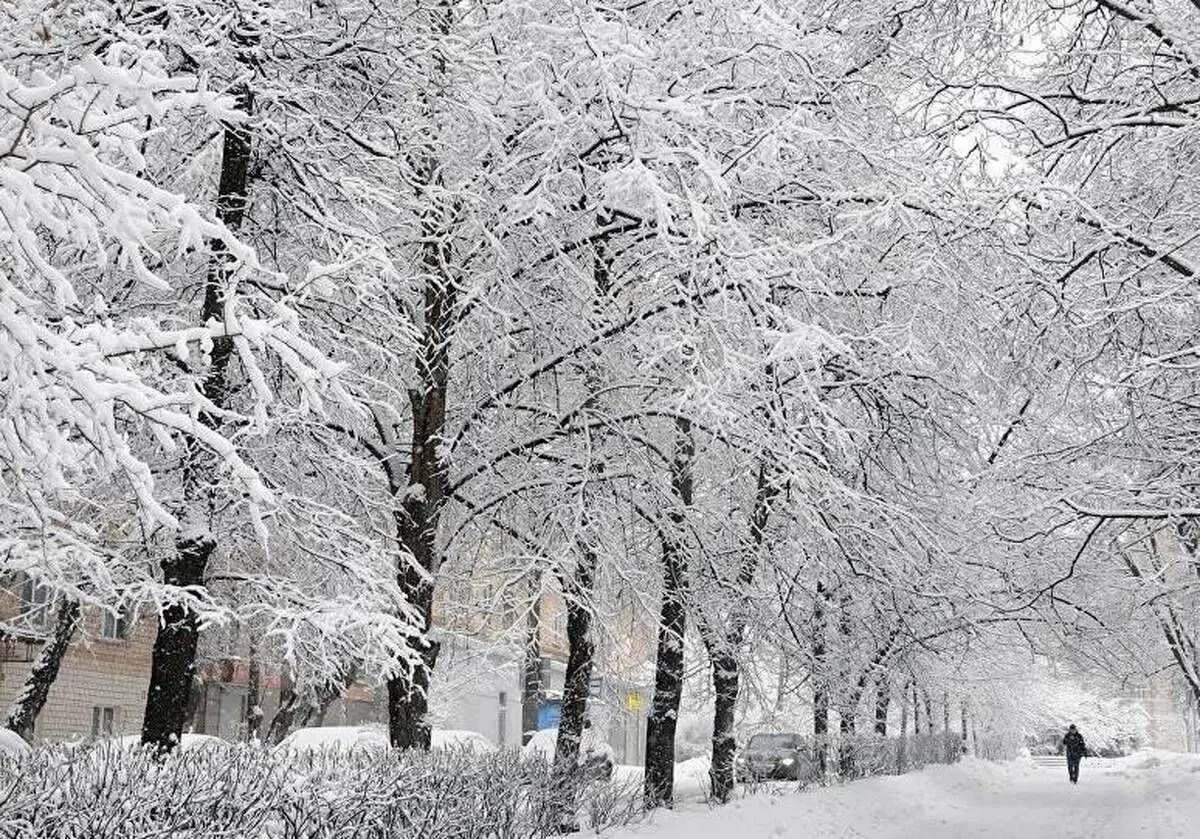 پیش بینی هواشناسی همدان در ۲۴ ساعت آینده + وضعیت هوای همدان فردا شنبه ۲۰ بهمن ۱۴۰۳ + برف و باران در همدان
