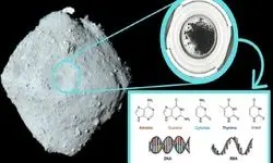 کشف اجزای کلیدی «دی‌ان‌ای» انسان در یک سیارک در عمق فضا