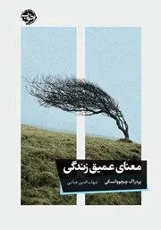 معرفی کتاب معنای عمیق زندگی