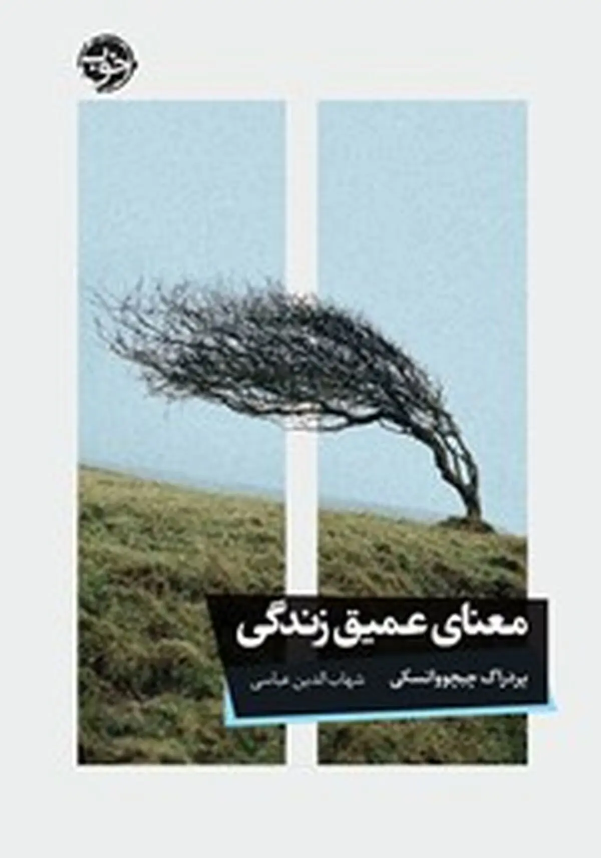 معرفی کتاب معنای عمیق زندگی