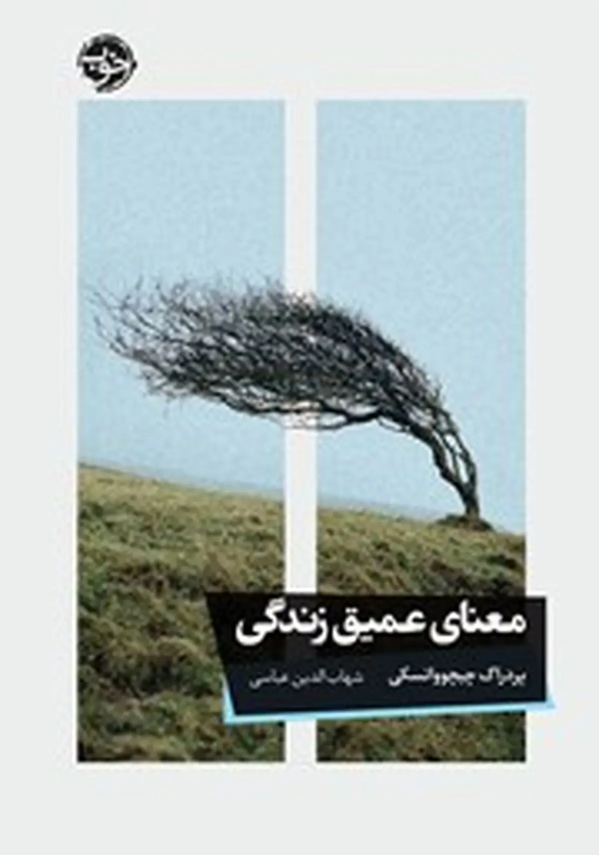 معرفی کتاب معنای عمیق زندگی