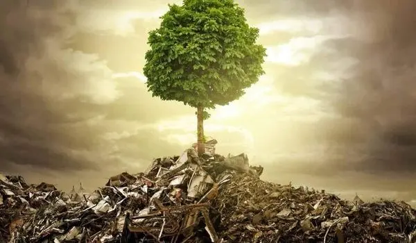 میراث مخرب جنگ برای اکوسیستم طبیعی و شهری