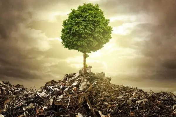 میراث مخرب جنگ برای اکوسیستم طبیعی و شهری