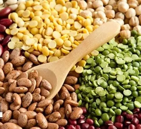 عدس یا لوبیا: کدامیک برای سلامتی بهترند؟