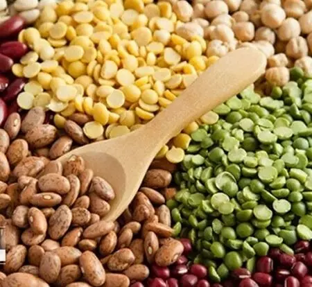 عدس یا لوبیا: کدامیک برای سلامتی بهترند؟