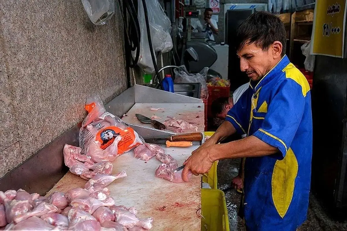 کاهش قیمت مرغ در بازار | هر کیلو مرغ گرم ۲۱۰ هزار تومان شد
