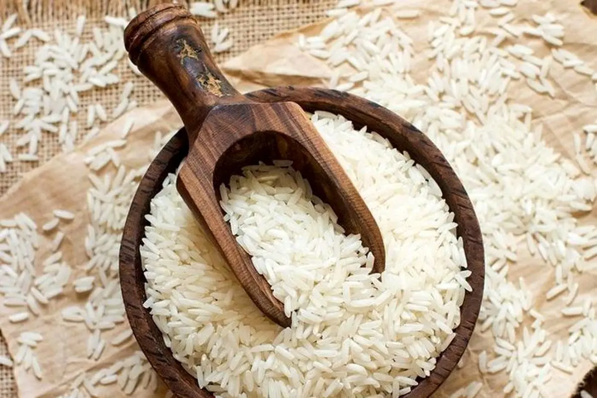 عرضه سنگین برنج ارزان به بازار | سقوط قیمت برنج در راه است